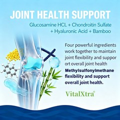 Joint Supplement With Chondroitin Support Mobility Flexibility Comfort 120 Caps
