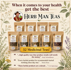 BELLY EASE- Digestive Tea for gas, bloating, weak digestion by Master Herbalist