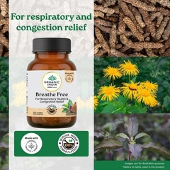 Organic India Breathe Free 60 Veg Capsules Ayurvedic Herbal Wellness 3 Pack