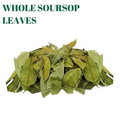 Soursop leaves, Natural Graviola, Hojas de guanabana, tea Soursop