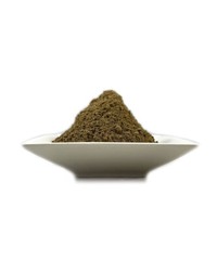 Bacopa Monnieri Brahmi Powder ORGANIC – Free Shipping + Free Sample USA Active