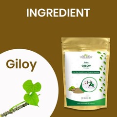 Giloy Powder – 100% Pure Extract for Immunity & Illness Support