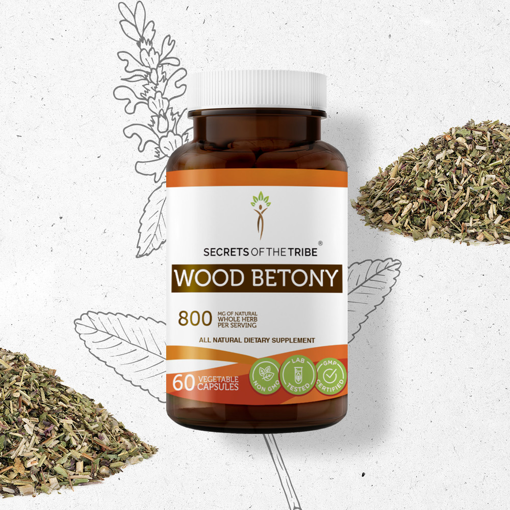 Secrets Of The Tribe Wood Betony Capsules, 400 mg