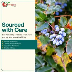Oregon Grape Root Cut and Sifted Herb by – NY Herb – FREE SHIP
