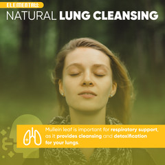 Mullein Leaf Drops 2oz Lung Cleanse Respiratory Bronchial Immune Support