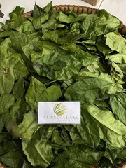 Daun Melinjo (Gnetum gnemon) Spanish Joint Fir Dried Leaves