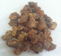 1 Lb. Myrrh Resin (Commiphora myrrha) Wildharvested India