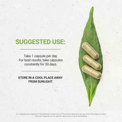 Secrets Of The Tribe Spinach Capsules, 500 mg
