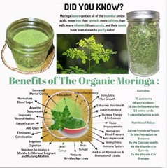 organic natural non gmo moringa powder 2 oz local pick up accepted