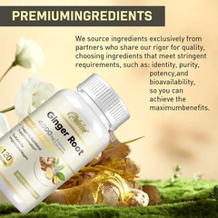 Ginger Root 4000mg – Highest Potency Supplement,Digestive & Joint Health Support