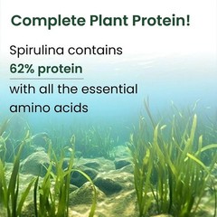 Organic Spirulina Powder (100g) | Rich in Protein, Vitamins & Minerals M154