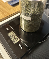 4oz Dried Stinging Nettle Leaf Tea – Cut and Sifted
