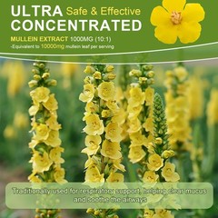 Mullein Drops for Lungs Liquid – Support Respiratory Herbal Supplement USA