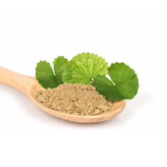 Gotu Kola Leaf Powder | Organic Centella Asiatica | Brain Health | Natural Herb