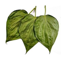 Betel Leaves ground powder Dried Organic Piper betle Paan / Paan Patha / Pann