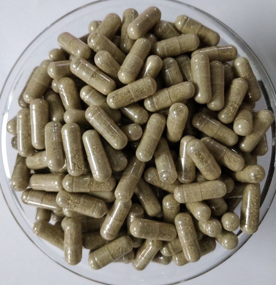 ORGANIC Caralluma Fimbriata Capsules For Weight Loss Appetite Suppressant