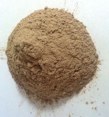 1 oz. Tongkat Powder (Eurycoma longifolia) Wildharvested Indonesia