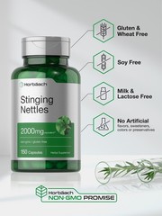 Stinging Nettle Capsules 2000mg | 150 Count | Herbal Extract | by Horbaach