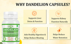 Dandelion (Taraxacum officinale) Capsules Herbal Supplement Pack 120 Veg Capsule