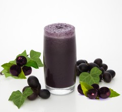 BLUEBERRY powder 8oz 16oz 1lb 32oz 2lb 3lb 8lb 55lb antioxidants caroten- PAJE