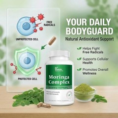 Moringa Complex Capsules – Moringa Oleifera Leaf Powder + 10:1 & 20:1 Extracts