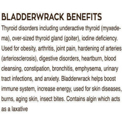 BLADDERWRACK Fucus vesiculosu Sea 595mg Iodine Vegetable Capsule 100 CT
