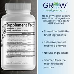 13,000mg Organic Lions Mane Mushroom Nootropic Brain Memory Focus Immune Support