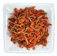 Wild Harvested Pure WILD DAGGA Petals 25g (Leonotis leonurus – Lions Tail / Ear)
