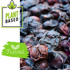 Schisandra Berry Herb Organic | Whole Wu Wei Zi 1oz/4oz/8oz Natural