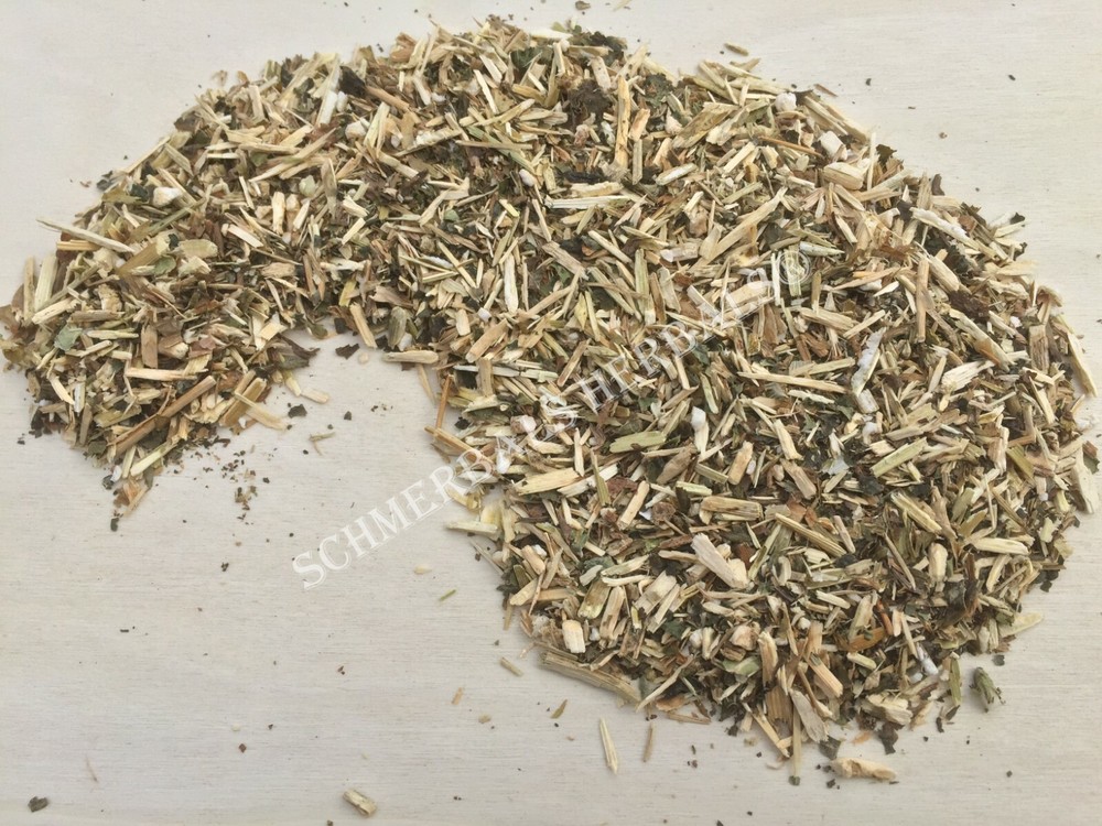 Wild Lettuce, L. virosa, Whole Herb, 1 oz Free Ship ~ Schmerbals Herbals