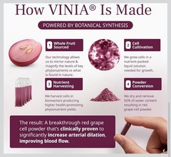 VINIA Piceid Resveratrol Red Grape Blood Pressure/Flow Heart Health Nitric Oxide