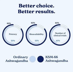 Better Alt KSM-66 Ashwagandha Honey Sticks Boosts Strength, Stamina EXP 12/26