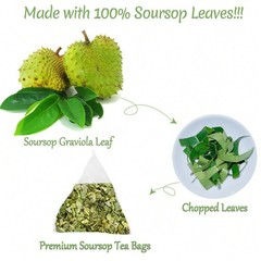 NEW Soursop Graviola Pure Leaf Tea – 60 TEA BAGS – FAST SHIPPING