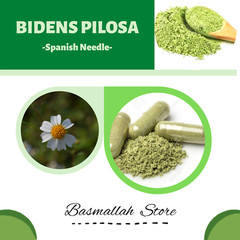 CAPSULES Spanish Needle Black-jack Beggar-ticks Cobbler’s Pegs Bidens Pilosa