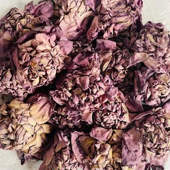 Ceylon Dried Pink Lotus Flower (Nelumbo Nucifera) Hand Packed Natural Organic ☕