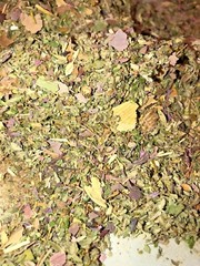 Poppy DAMIANA Lotus SKULLCAP +plus more herbs! no.8 smokin-hot deal ORGANIC mix!