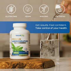 Premium Andrographis Extract 1,200mg (100mg Andrographolides), 120 Capsules