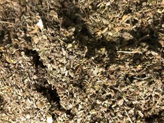 No.28 Mix – Lobelia Sage Catnip Colt Passion Skull Mull Lettuce Damiana -4 oz’s