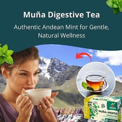 Andean Mint Tea Te de Muña 100 Tea Bags – 100% All Natural Wild Muna Leaves Peru