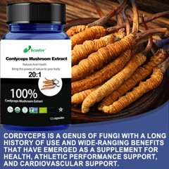 Cordyceps Mushroom Extract -Immune Support Supplements,Support Overall Health