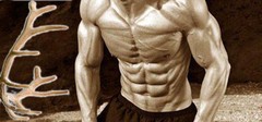 Testosterone Pills XL – Deer Antler Plus 550mg – Nettle Root 2B
