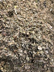 Sage Lettuce Damiana Catnip Colts Lobelia Skullcap Mull Passionflower -No.28 Mix