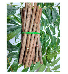 MIMPER Natural 100% Pure Neem Datun Sticks Oral CareToothbrush Pack Of 10+2Free