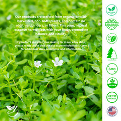 Oil Of Oregano Wild-Mediterranean 1 Oz Non-Gmo High Carvacrol-Greater Than 85%