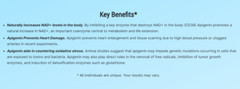 Apigenin High Strength 250mg Supplement