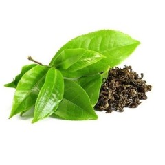 Green Tea Sencha Leaf Premium Japan Style Bio Organic Camellia Sinensis 50g 1kg