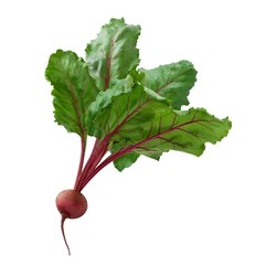 2lb / 32 oz JAR Beet Root Powder (Beta vulgaris) Raw & Non-GMO Vegan