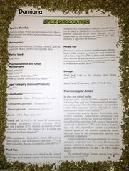 DAMIANA c/s bulk natural herb leaf organic wild crafted 1/4 lb pound (4 oz)