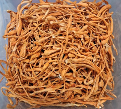 8 OZ – USA Grown CORDYCEPS, Organic – 100% Whole Fruiting Body No Roots