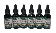 Nature’s Answer Mullein Leaf Extract 2000mg Alcohol Free 1oz• 6 PACK EXP : 03/29